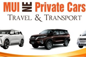 Vung Tau To Ho Chi Minh Airport By Private Car Affordable Price