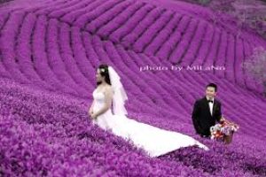 Mui ne – Đà Lạt 2 day luxury tour.